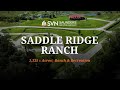 Ranch For Sale in Florida | Saddle Ridge Ranch | 1,135 ± Acres | Recreation Land | Lake Placid, FL