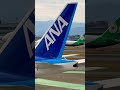 【エバー航空】boeing787 10 福岡空港着陸　 エバー航空 boeing787 福岡空港