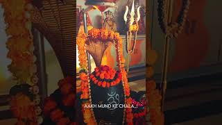 MAHASHIVRATRI - NAMO NAMO SHANKARA EDIT | Mahashivratri Status | Namo Namo Ji Shankara Song Edit