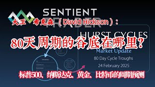 大卫·希克森 （David Hickson）：80天周期的谷底在哪里？标普500，纳斯达克，黄金，比特币的周期预测 | 这是希克森2月23日市场更新视频节录的中文翻译（2-24-2025）