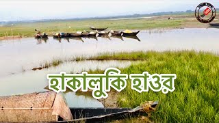 শীতকালীন হাকালুকি হাওর।-Hakaluki Haor