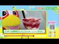 【ふるさとシェア】矢吹町　おすすめ花見スポット＆カフェ（2022 4 6）