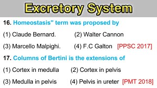 Excretory System MCQ - human physiology neet questions