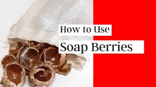 How to Use Soap Berries| Natural Uses for Soap Berries|