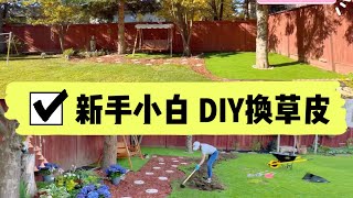 ✅新手小白 DIY换草皮 Transforming your backyard - Replacing Sod Step By Step