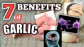 Best 7 Incredible Health Benefits Of Garlic