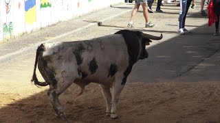 Villanueva de Azoague 2019, BARCIAL