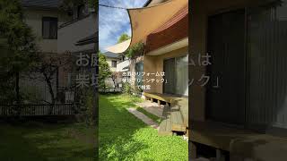 守山区 庭 リフォーム ビフォーアフター #shorts