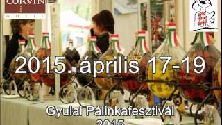 Gyulai Pálinkafesztivál 2015