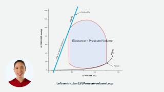 What is the End-Systolic Pressure-Volume Relationship (ESPVR)?