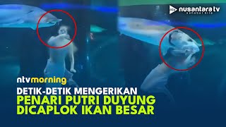 Ngeri! Penari Putri Duyung Dicaplok Ikan Raksasa saat Pentas, Pengunjung Histeris | NTV MORNING