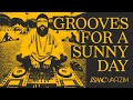 GROOVES FOR A SUNNY DAY #03 ◆ house & disco MIX ◆ by ISAAC VARZIM