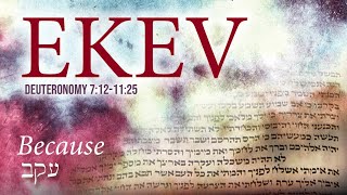 Aug 5, 2023 Torah Parsha: Ekev (Because)