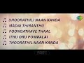 nizhalgal full album ravi rohini chandrasekhar ilaiyaraaja