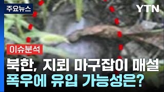 [뉴스퀘어10] 북한 '나뭇잎 지뢰' 주의보...폭우에 떠내려오면 어쩌나? / YTN