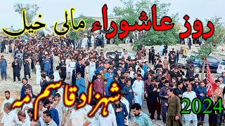 roz Ashura Malikhel Jaloos Parachinar عاشوراء کربلا شہزاد قاسم مہ 2024