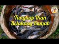 Day 51 Tangkap Ikan Belakang Rumah