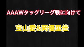 AAAWタッグリーグに向けて宝山愛＆岡優里佳