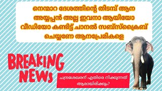 നെന്മാറ ദേശം തിടമ്പ് എടുക്കുന്നത് അയ്യപ്പൻ അല്ല ഇവനാ 😱😱😱😱😱