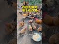 养鸡不驱虫等于在养虫 科学养鸡 散养土鸡 三农 @我要上热门@快手涨粉助手@快手创作者中心快 科普 搞笑 正能量