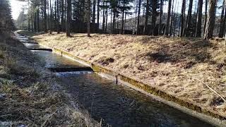 Przehyba Trail - tuż przed metą - wodospad Gołkowice Górne