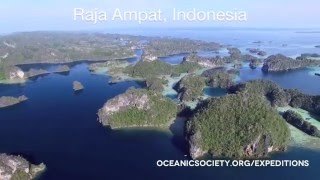 Raja Ampat, Indonesia from Above (HD)