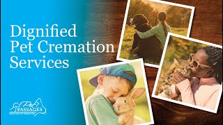 Pet Passages: Your Guide to Dignified Pet Cremation Services