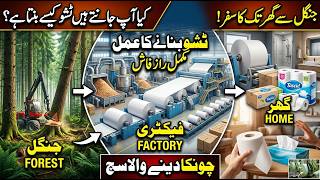 How Tissue Paper is Made from Trees | Complete Factory Process Explained