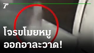 แม่ค้าเตือนภัย! โจรขโมยหมูอาละวาด | 19-01-65 | ข่าวเที่ยงไทยรัฐ