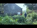 The young engineer was shocked when he returned to his old house, which had been covered by trees