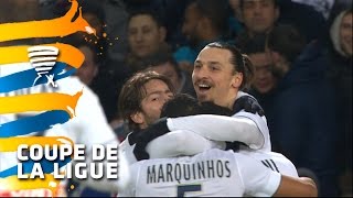 LOSC Lille - Paris Saint-Germain (0-1)  (1/2 finale) - Résumé - (LOSC - PSG) / 2014-15