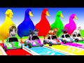 5 Giant Duck Cartoon,Cow,Elephant,Giraffe,Lion,Piglet Paint Wild Animals Crossing Fountain Animation