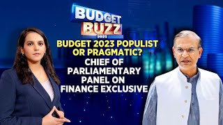 Budget 2023 Populist Or Pragmatic? Chief Of Parliamentary Panel | Jayant Sinha | Kiran Mazumdar-Shaw