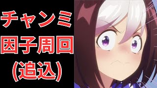 【ウマ娘】【無課金】間に合うか！チャンミ追い込み祖父母因子周回！/チャンピオンズミーティング