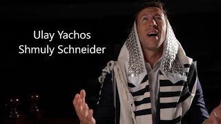 Shmuly Schneider - Ulay Yachos | שמולי שניידער - אולי יחוס