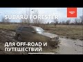 Subaru Forester SG 2006 года 2.0л 158 лс | обзор