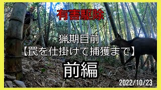 くくり罠【狩猟・有害駆除】罠を仕掛けて捕獲まで前編