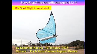 2サーボ駆動蝶型羽ばたき機 SFOBlueMorph122-2small 27g : 16th Good Flight in west wind