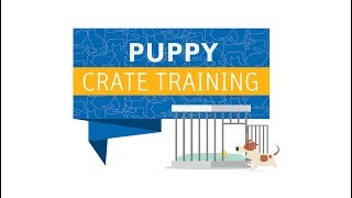 Behaviourist Advice | How To Crate Train Your Puppy