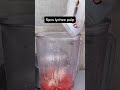 Watermelon Lychee Soda Recipe