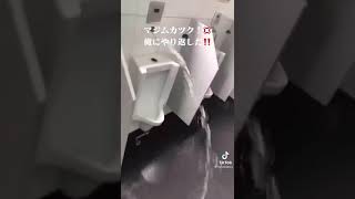 【TikTok】〜小便器の逆襲〜