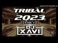 Tribal Mix Dj Xavi Vol 1