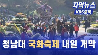 [자막뉴스] 청남대 가을 국화축제 내일 개막