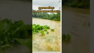 😱😱😱ഇതിൽ റോഡേതാ പുഴയേതാ എന്ന് മനസ്സിലാവുന്നില്ല