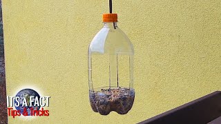 Tips \u0026 Tricks | How to Make a Bird Feeder from a Plastic Bottle (Version 3)