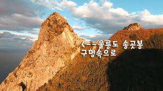 4K 울릉도 평리마을 한바퀴~ 쌩~