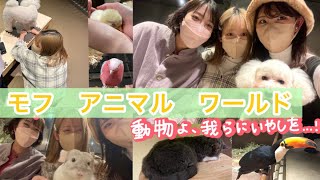 【動物】アラサー女が動物にハマったら終わりってほんと？【横浜、みなとみらい】