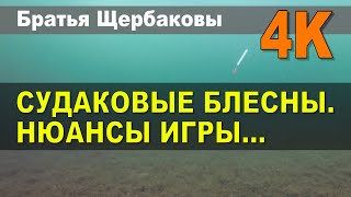 СУДАКОВЫЕ БЛЕСНЫ. НЮАНСЫ ИГРЫ