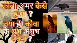 कौवा अमर केसे हुआ ? क्या हैं। कौवा के शुभ अशुभ संकेत ?||CROWS STORY||CROWS GOOD OR OR BAD .