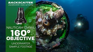 Nauticam EMWL 160° Objective | Underwater Sample Footage